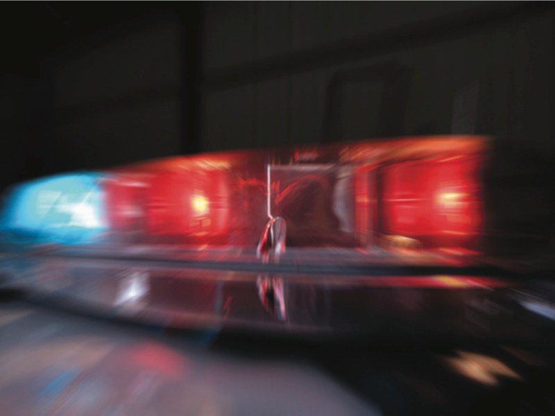 sirens picture