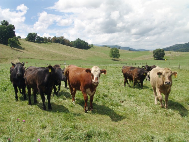 farm photo