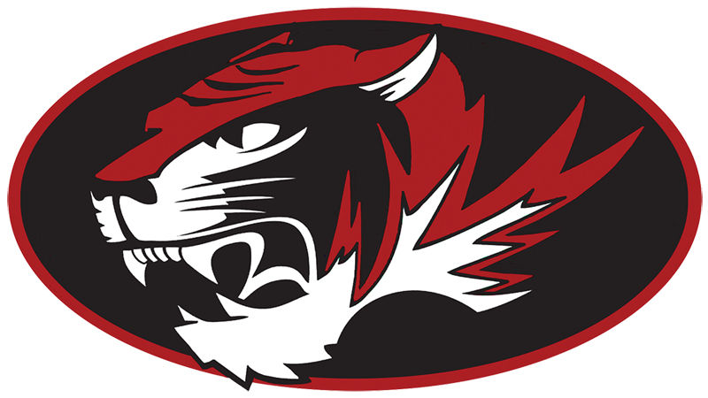 Houston Tigers artwork