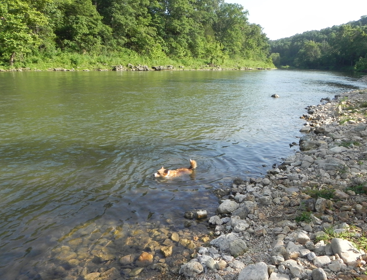 River dog