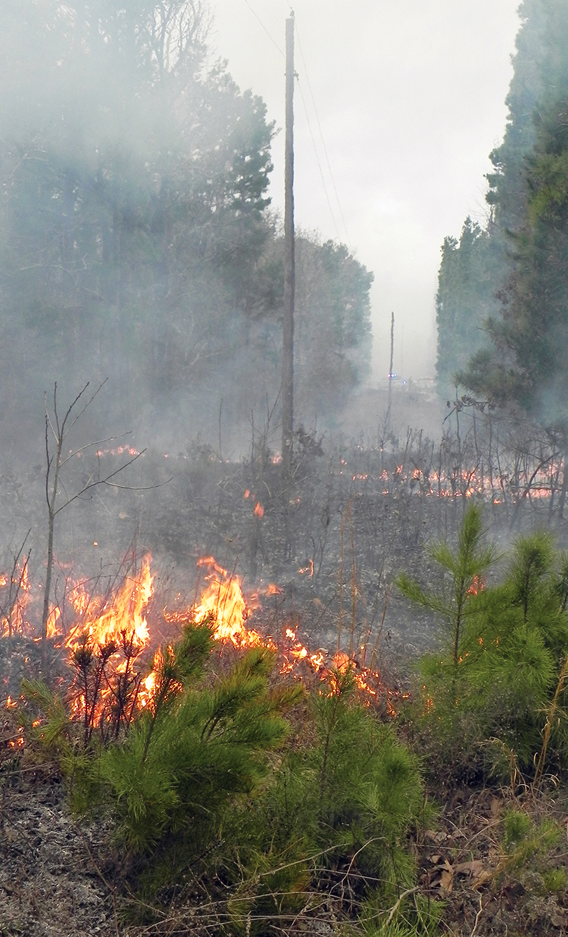 Flames on the move