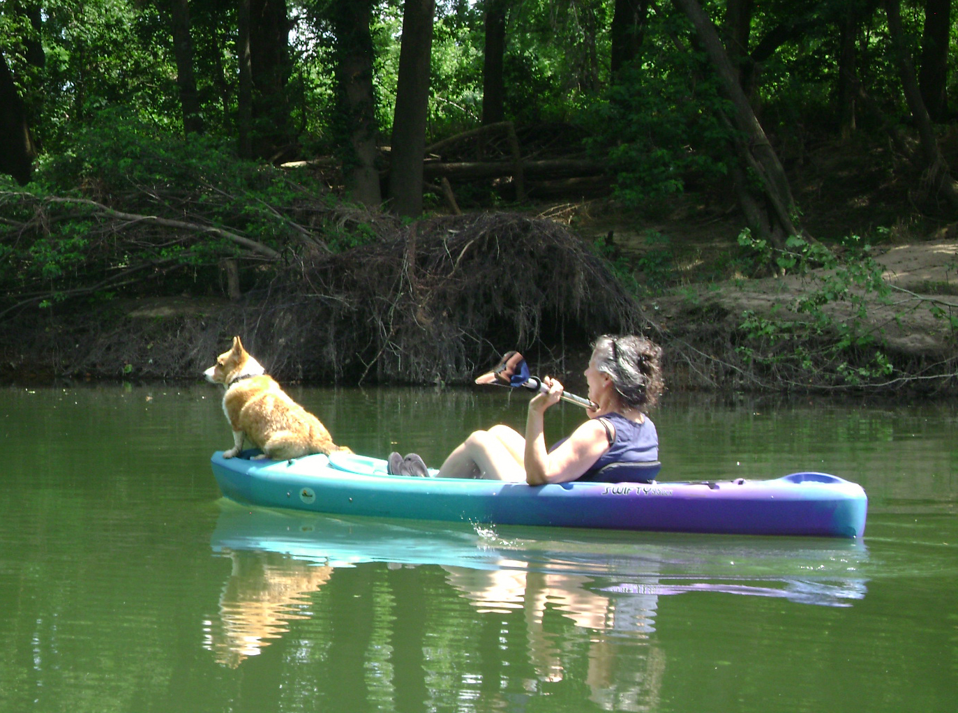 Pup on the bow