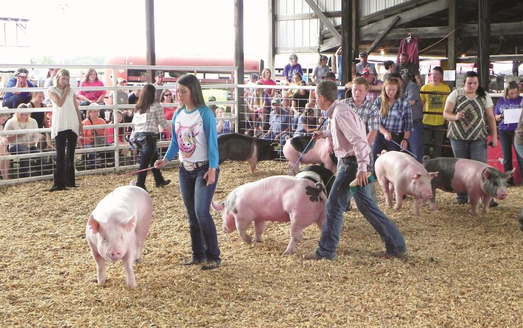 Annual Texas County Fair set for next week