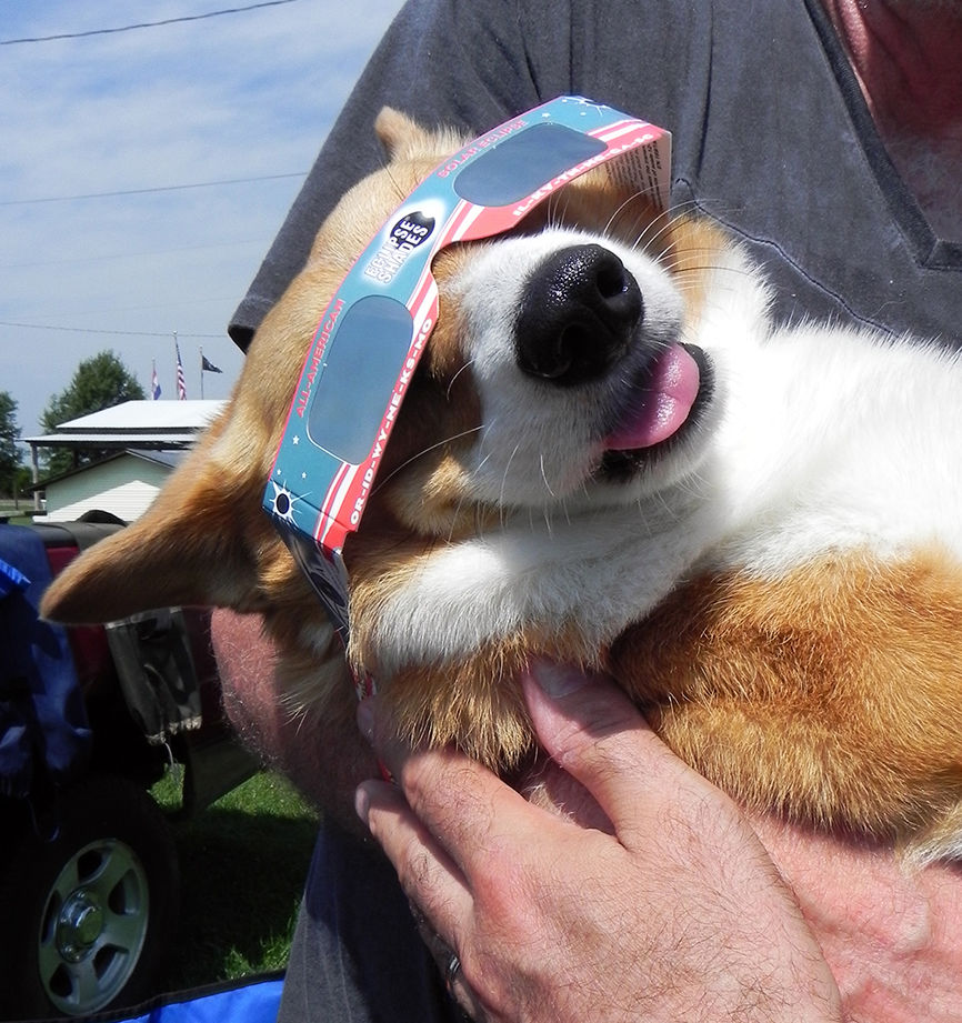 Gertie glasses