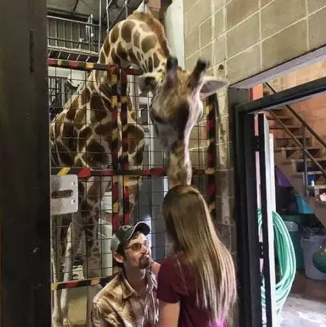 Giraffe proposal
