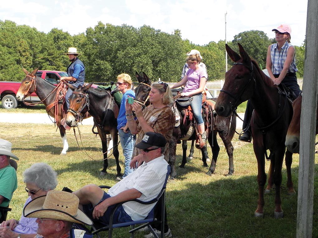 Mule people
