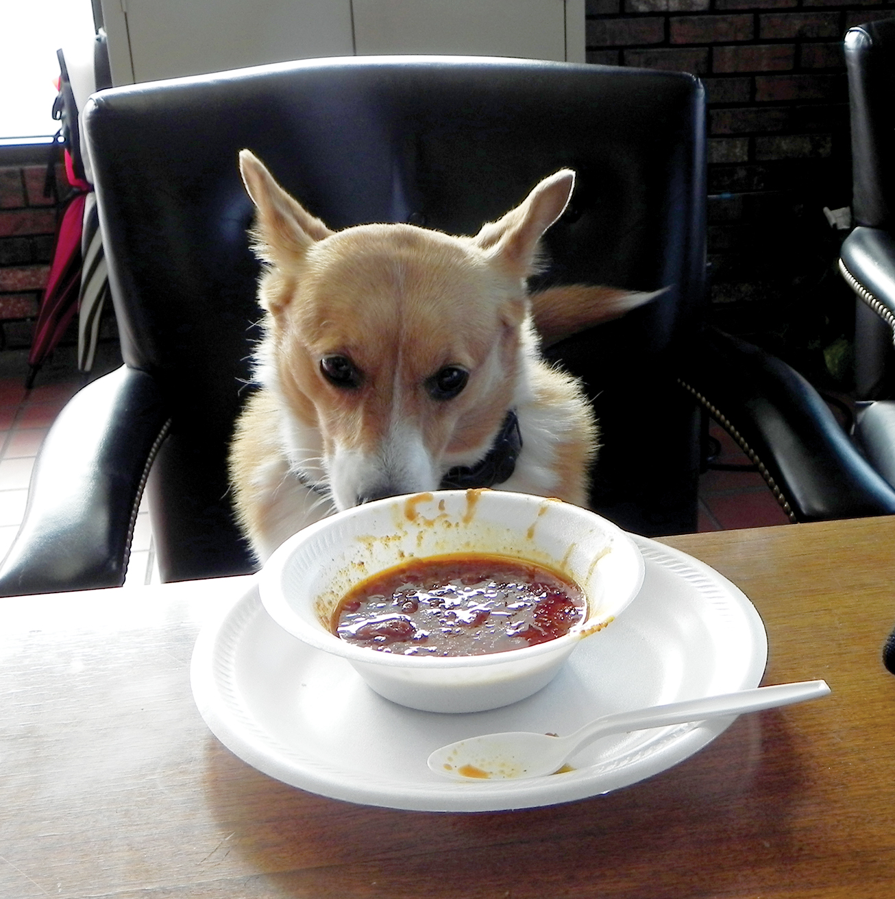 Chili dog