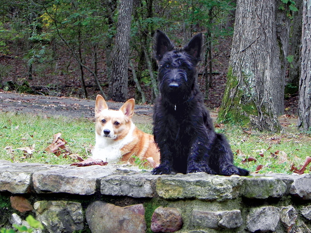 Gertie and her dog
