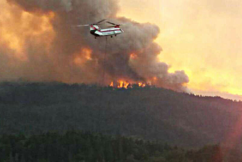 Forest Service chopper at work