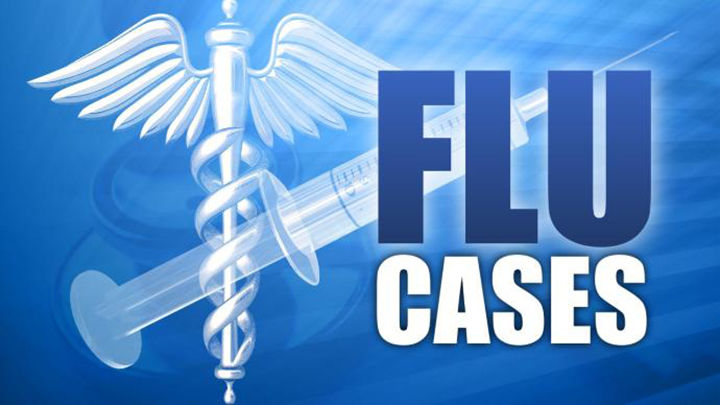 flu cases artwork
