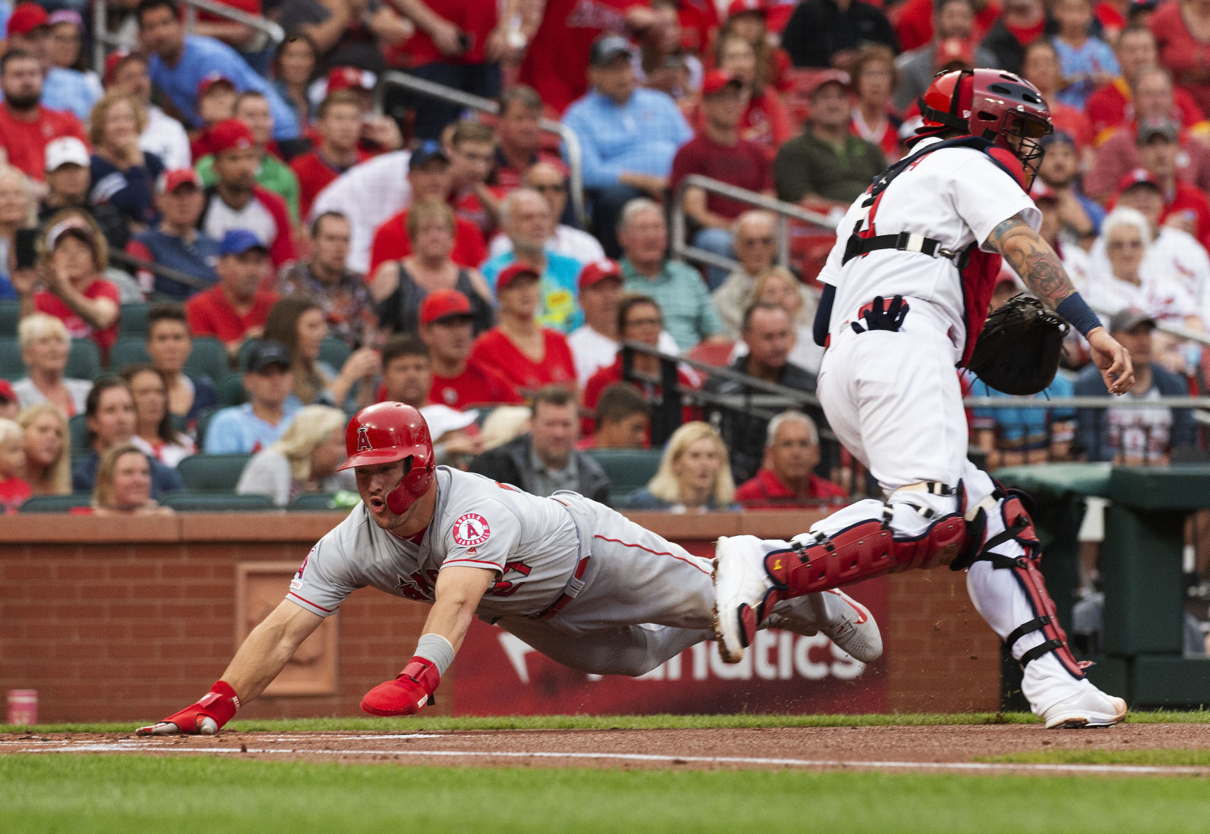Angels Cardinals Baseball