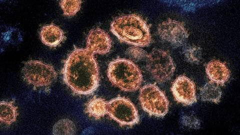 Coronavirus