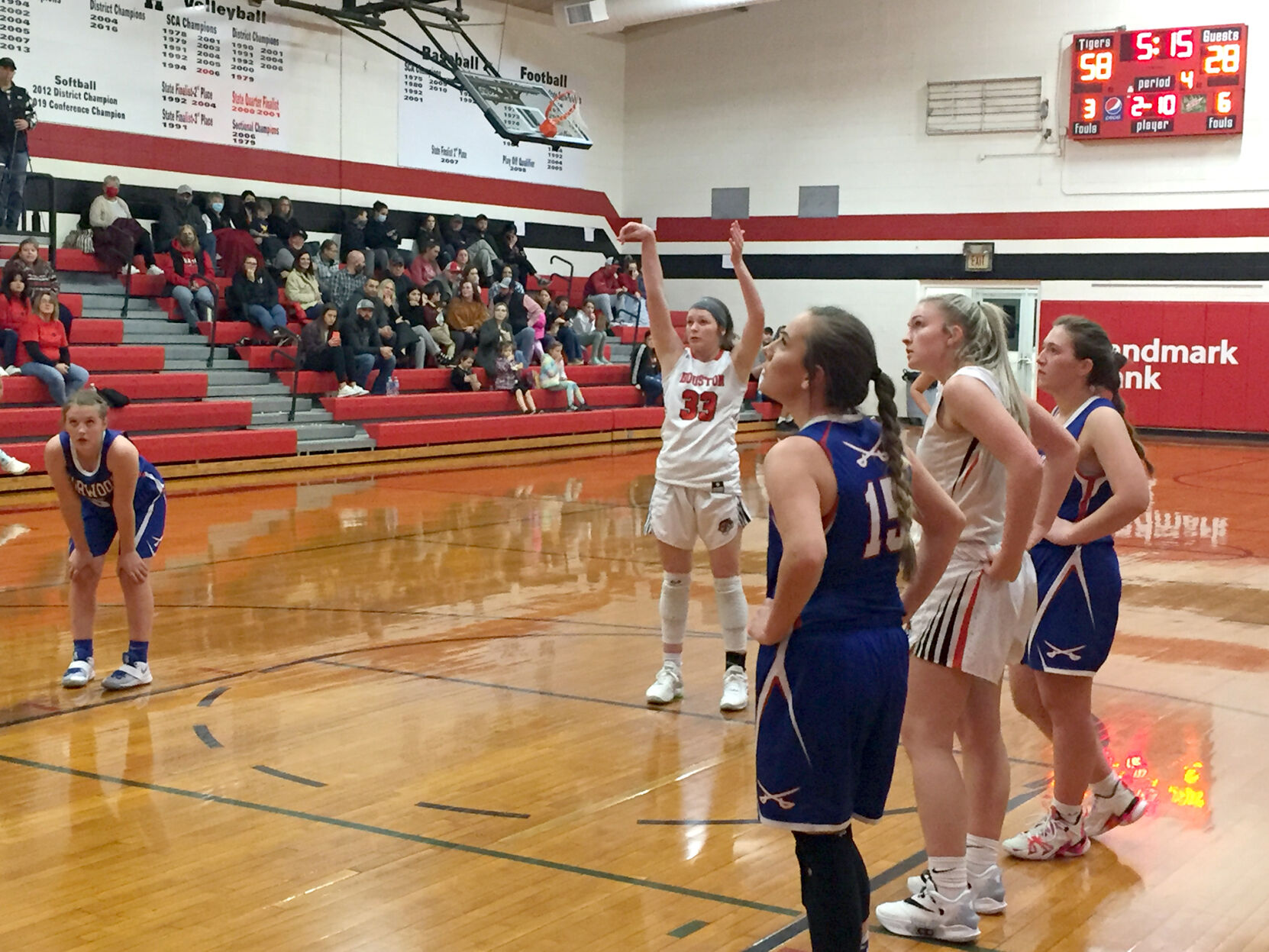 Lady Tigers