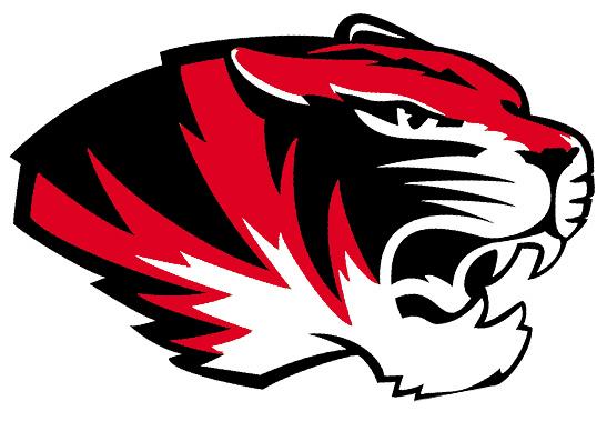Tiger logo