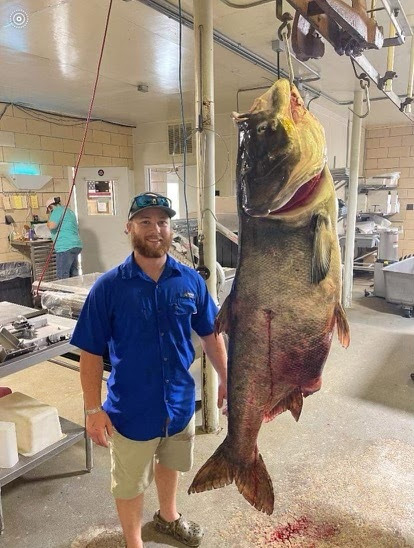 Record carp