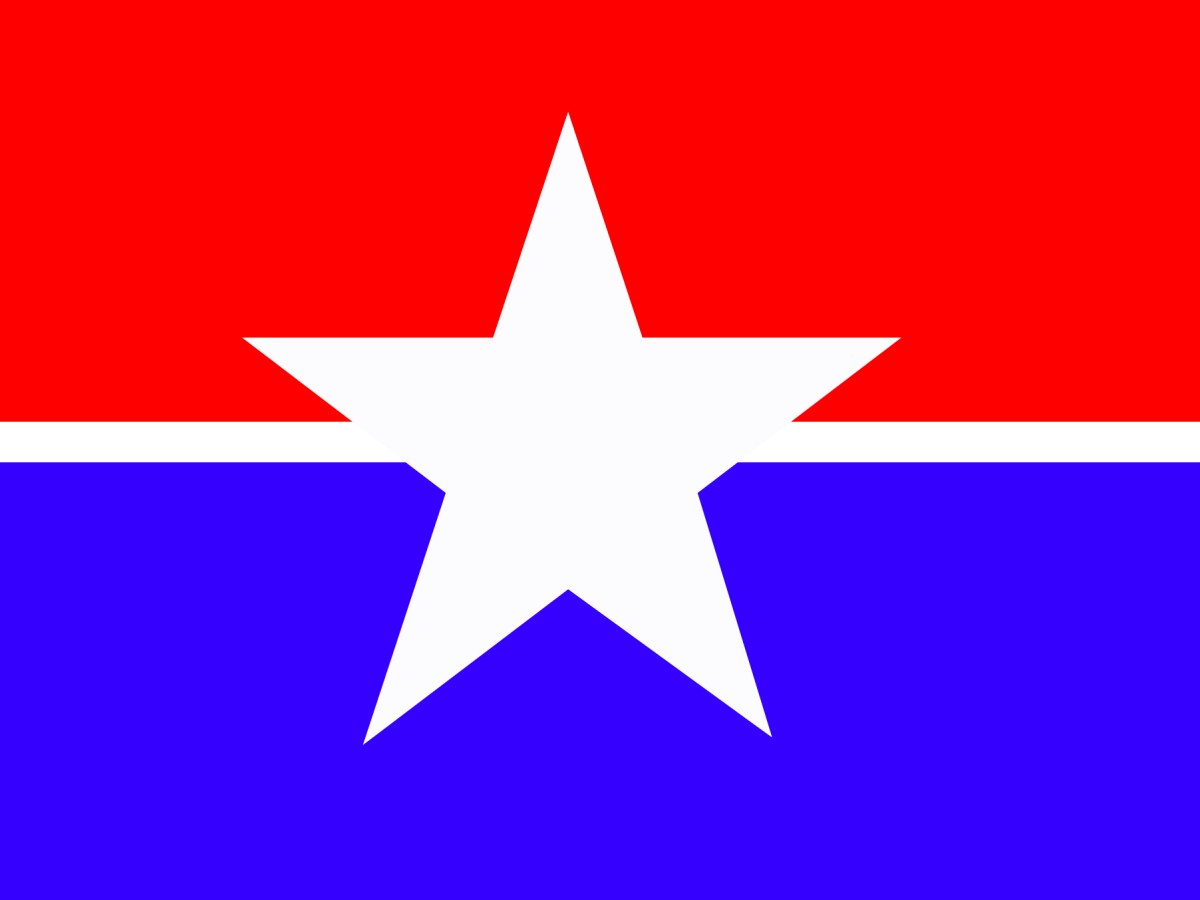photo for Houston flag