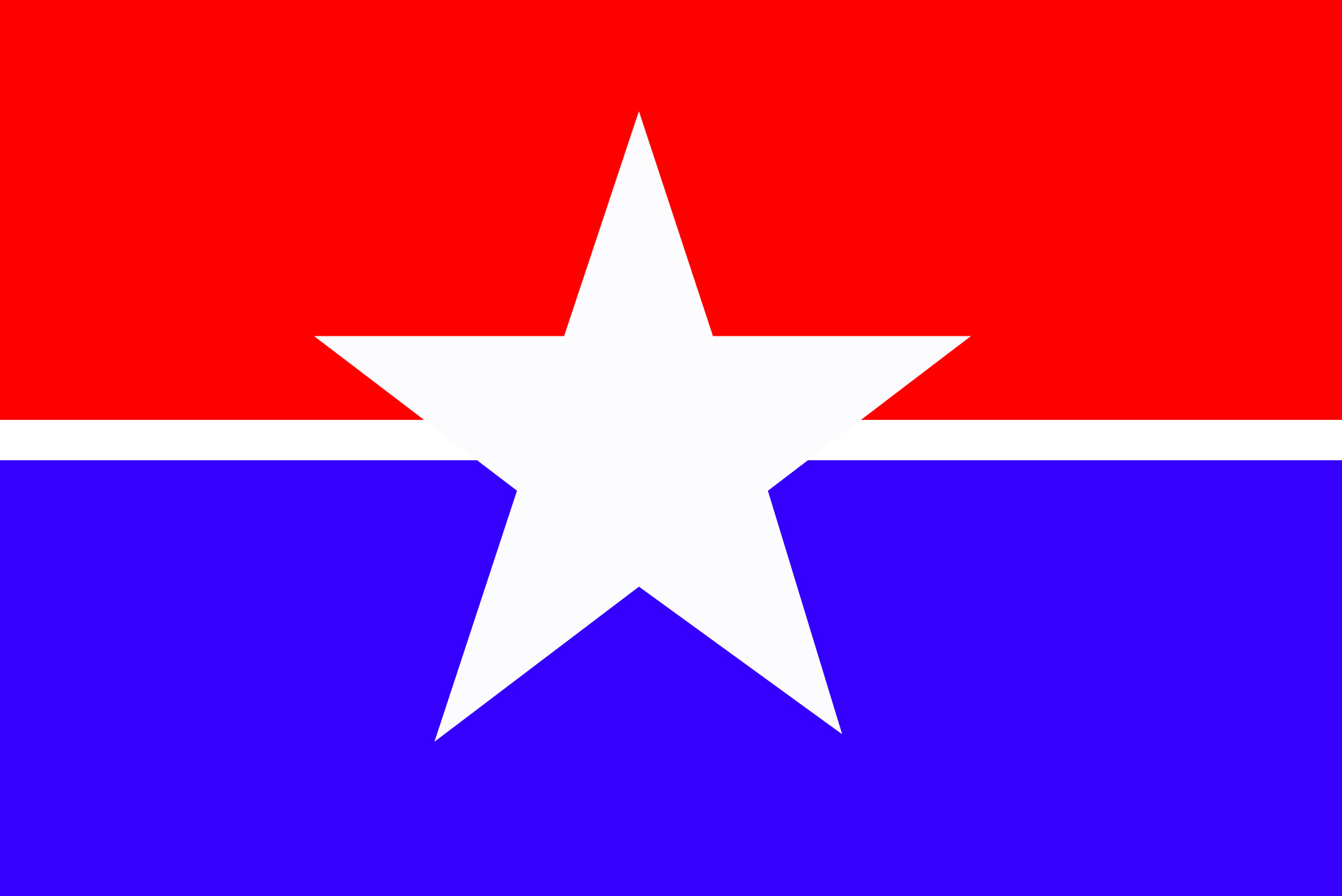 photo for Houston flag