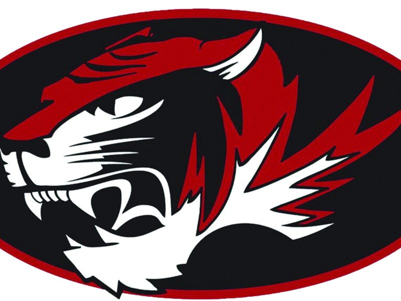 Tiger logo copy