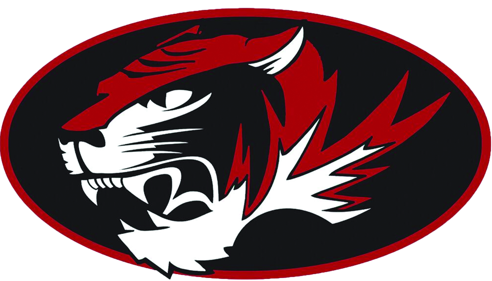 Tiger logo copy