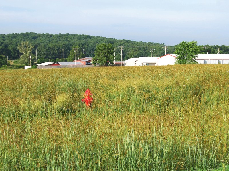 Northeast Industrial Park photograph