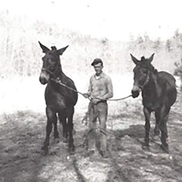 Don Elmore photo