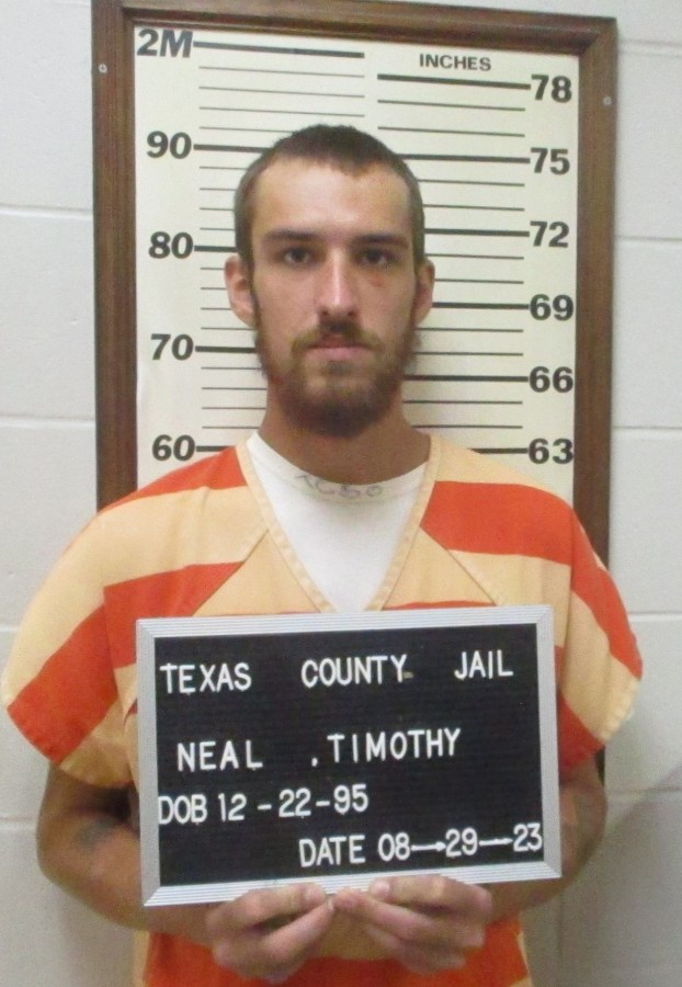 Cabool man charged after allegedly punching woman