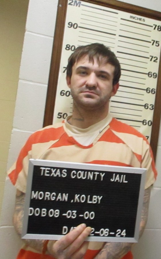 Local man facing felony assault and drug charges