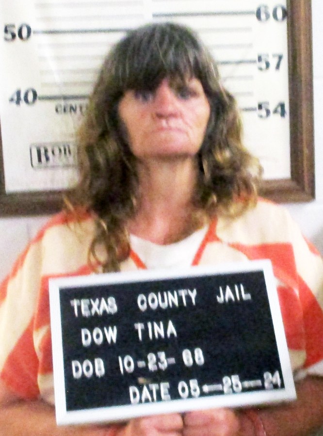 Houston woman charged after alleged assault with broom